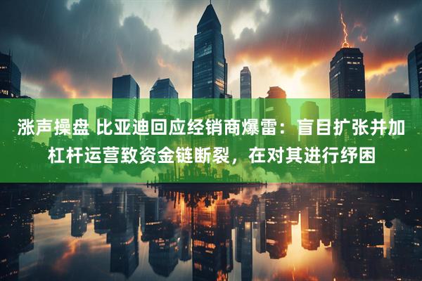 涨声操盘 比亚迪回应经销商爆雷：盲目扩张并加杠杆运营致资金链断裂，在对其进行纾困