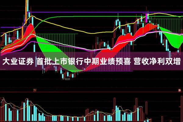 大业证券 首批上市银行中期业绩预喜 营收净利双增