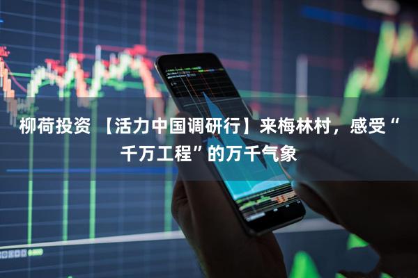 柳荷投资 【活力中国调研行】来梅林村，感受“千万工程”的万千气象