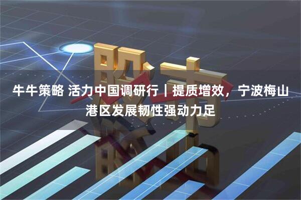 牛牛策略 活力中国调研行｜提质增效，宁波梅山港区发展韧性强动力足