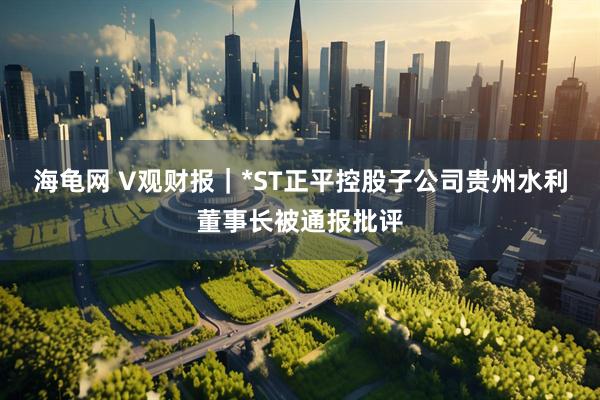 海龟网 V观财报｜*ST正平控股子公司贵州水利董事长被通报批评