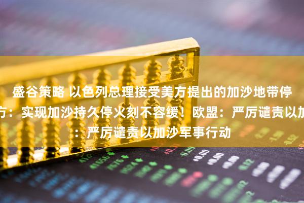 盛谷策略 以色列总理接受美方提出的加沙地带停火方案！中方：实现加沙持久停火刻不容缓！欧盟：严厉谴责以加沙军事行动